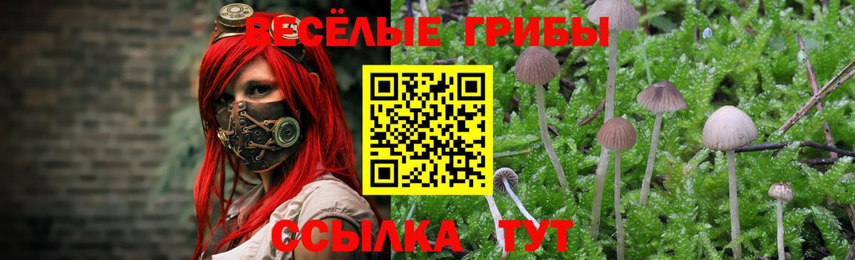 Дзержинский  Псилоцибиновые грибы мухоморы  Вход с VPN 
